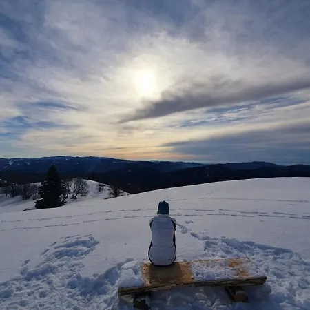 Dvorec Ξενοδοχείο Tolmin