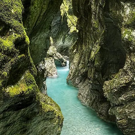 Ξενοδοχείο Dvorec Tolmin